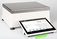 RADWAG PM 5Y 25 Gram (g) Capacity Ellipsis Series Heavy Capacity Precision Balance