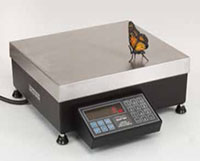 Pennsylvania 7600 RS232 NTEP Counting Scales