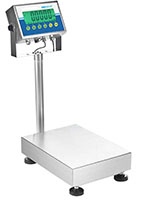 Adam Equipment 165 Pound (lb) Capacity and 15.7 x 11.8 Inch (in) Pan Size Gladiator® Washdown Checkweigh Scale