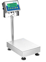 Adam Equipment 165 Pound (lb) Capacity and 15.7 x 11.8 Inch (in) Pan Size Gladiator® Washdown Checkweigh Scale