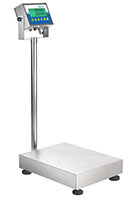 Adam Equipment 165 Pound (lb) Capacity and 19.7 x 15.7 Inch (in) Pan Size Gladiator® Washdown Checkweigh Scale