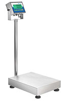 Adam Equipment 330 Pound (lb) Capacity and 19.7 x 15.7 Inch (in) Pan Size Gladiator® Washdown Checkweigh Scale