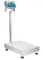 Adam Equipment 600 Pound (lb) Capacity and 23.6 x 17.7 Inch (in) Pan Size Gladiator® NTEP Washdown Checkweighing Scale