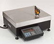 Pennsylvania 7600 RS232 NTEP Counting Scales