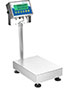 Adam Equipment 65 Pound (lb) Capacity and 15.7 x 11.8 Inch (in) Pan Size Gladiator® Washdown Checkweigh Scale Adam Equipment 65 Pound (lb) Capacity and 15.7 x 11.8 Inch (in) Pan Size Gladiator® Washdown Checkweigh Scale