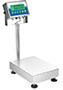 Adam Equipment 165 Pound (lb) Capacity and 15.7 x 11.8 Inch (in) Pan Size Gladiator® Washdown Checkweigh Scale Adam Equipment 165 Pound (lb) Capacity and 15.7 x 11.8 Inch (in) Pan Size Gladiator® Washdown Checkweigh Scale