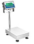Adam Equipment 150 Pound (lb) Capacity and 19.7 x 15.7 Inch (in) Pan Size Gladiator® NTEP Washdown Checkweighing Scale