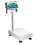 Adam Equipment 60 Pound (lb) Capacity and 15.7 x 11.8 Inch (in) Pan Size Gladiator® NTEP Washdown Checkweighing Scale